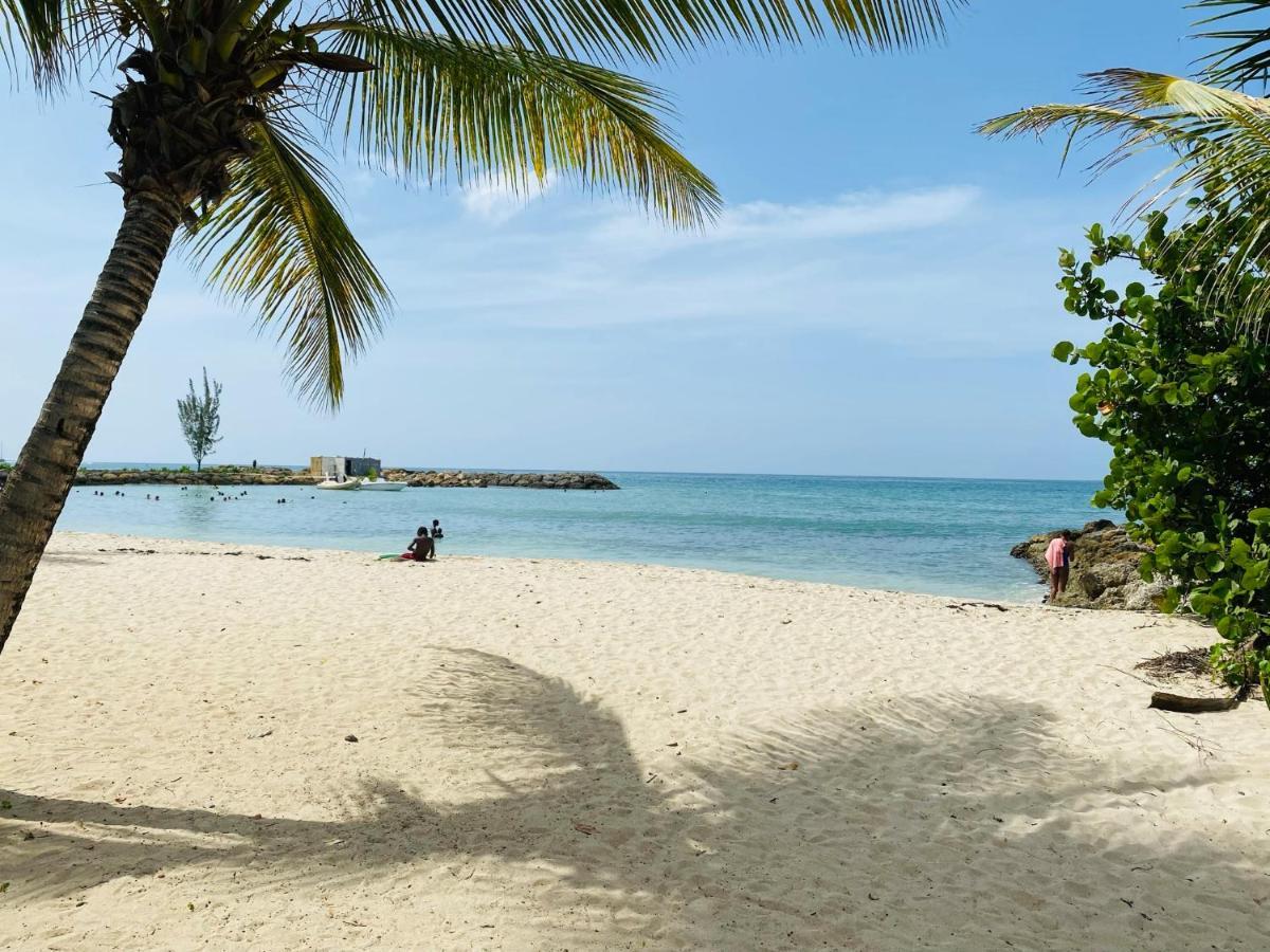 Vanille, A Proximite Des Plages, Idealement Situe Pour Visiter La Guadeloupe Le Gosier  Esterno foto
